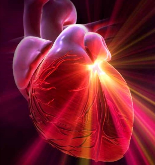 Radiologia inimii